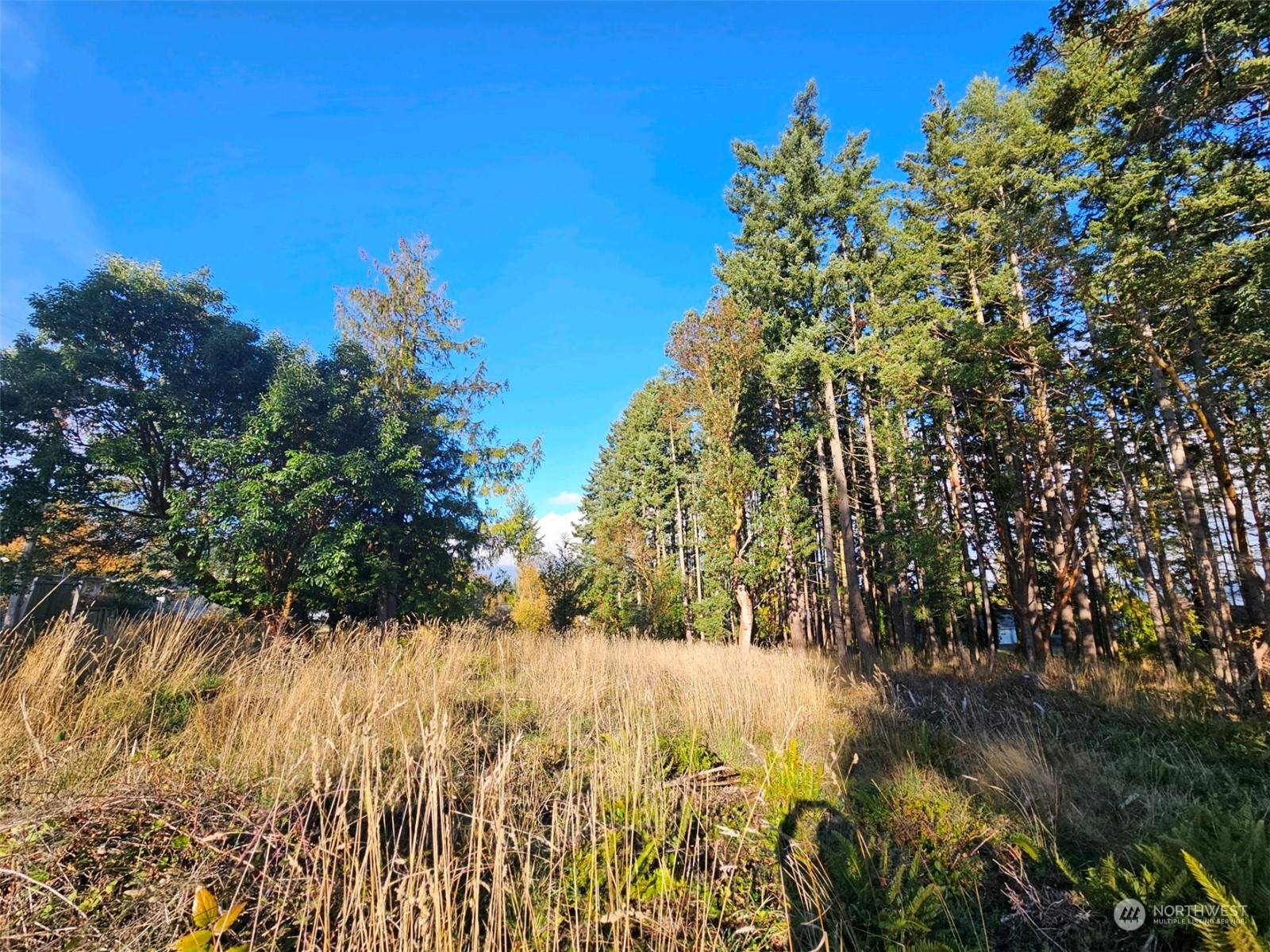 Property Photo:  0  Lot 1 West 8th Street  WA 98363 