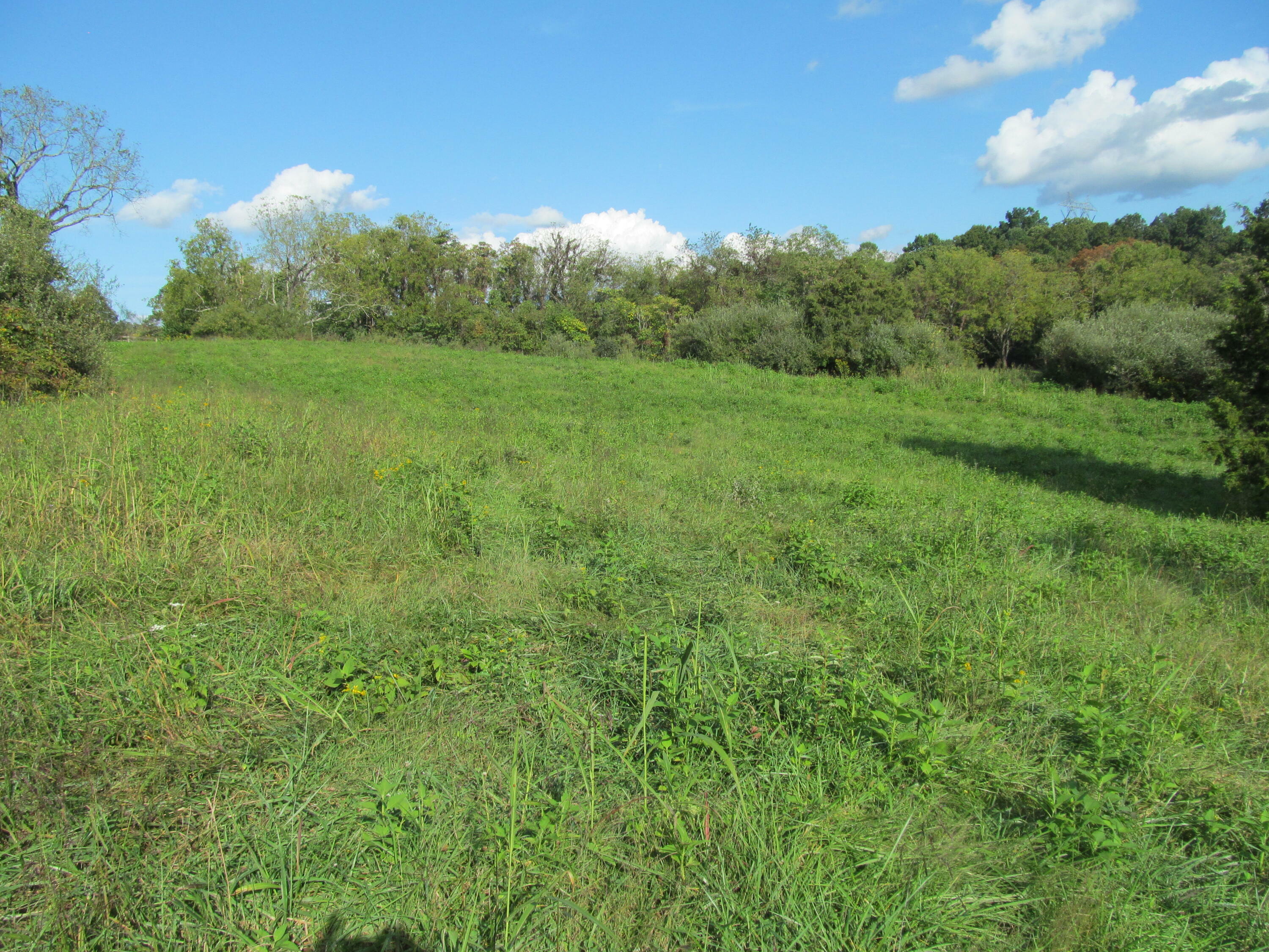 Property Photo:  0 Goad Rd  VA 24090 