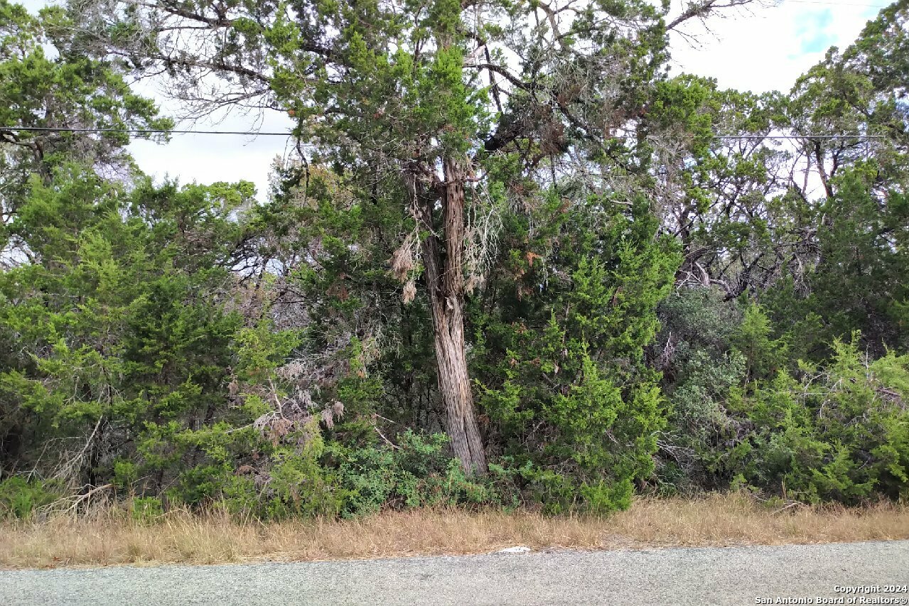 Property Photo:  333+355 Eagle Rock Rd  TX 78070 