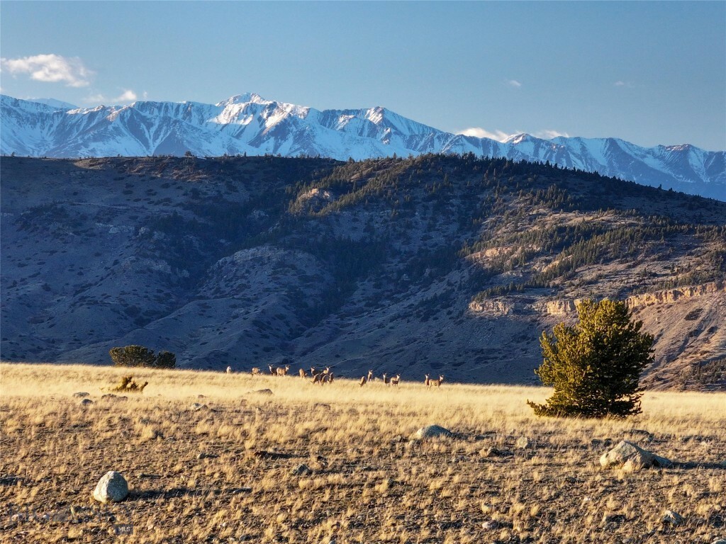 Property Photo:  Tbd Susie Creek Road  MT 59052 