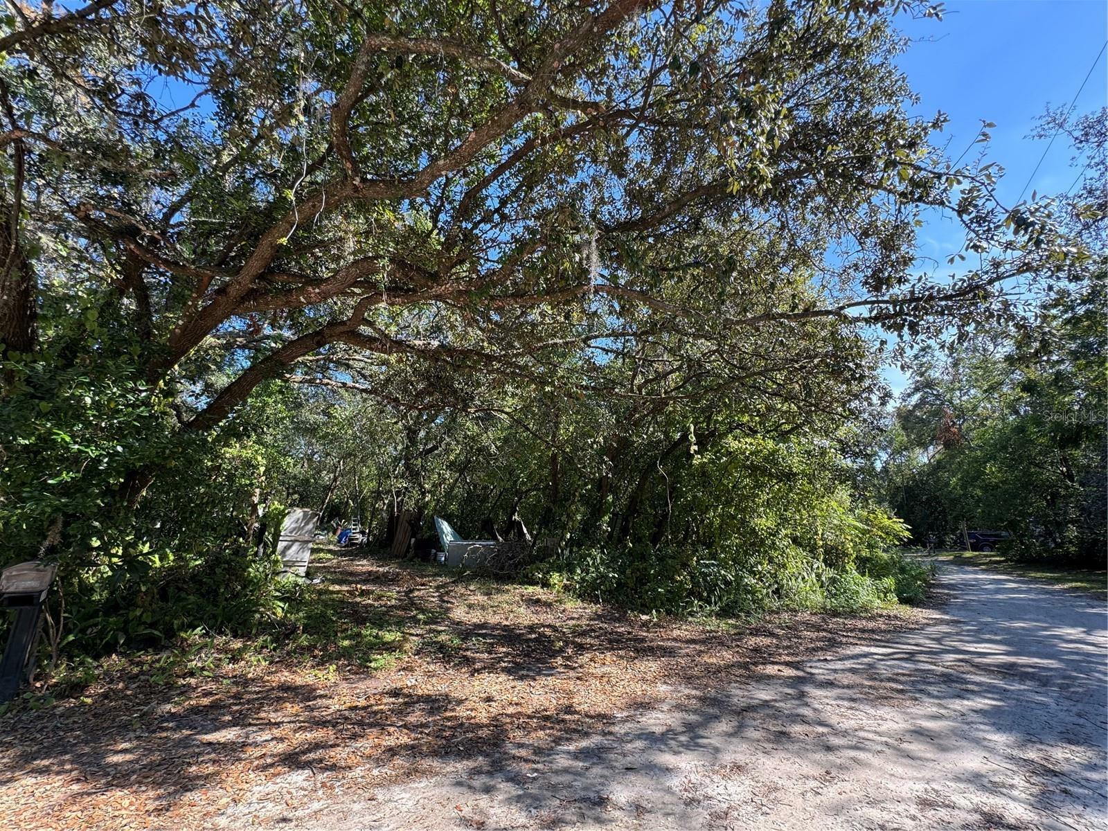 Property Photo:  10100 Poplar Street  FL 34654 