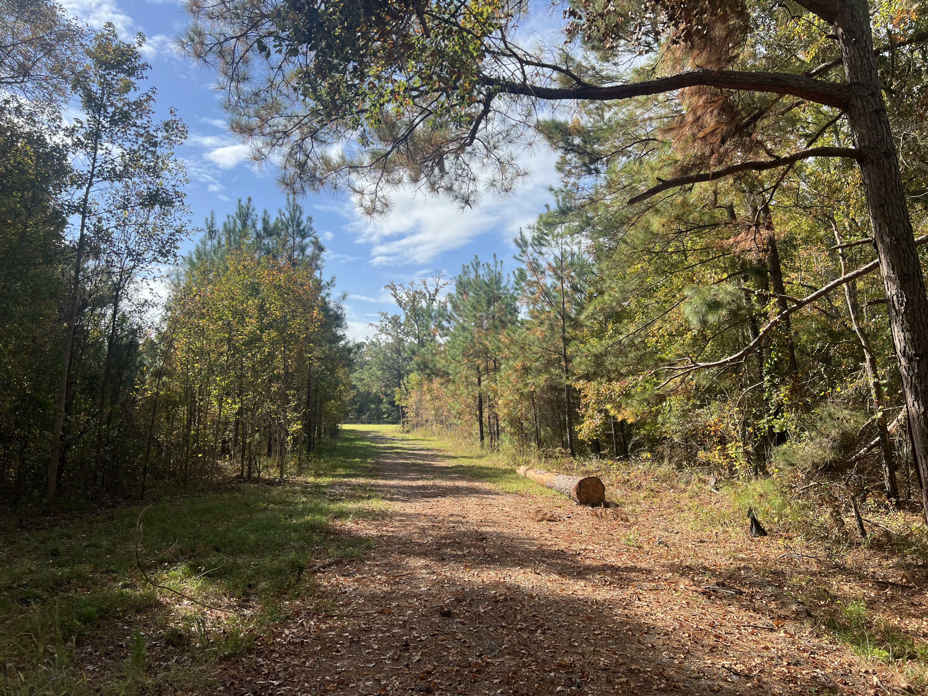 Property Photo:  0 Independent School Road  SC 29471 