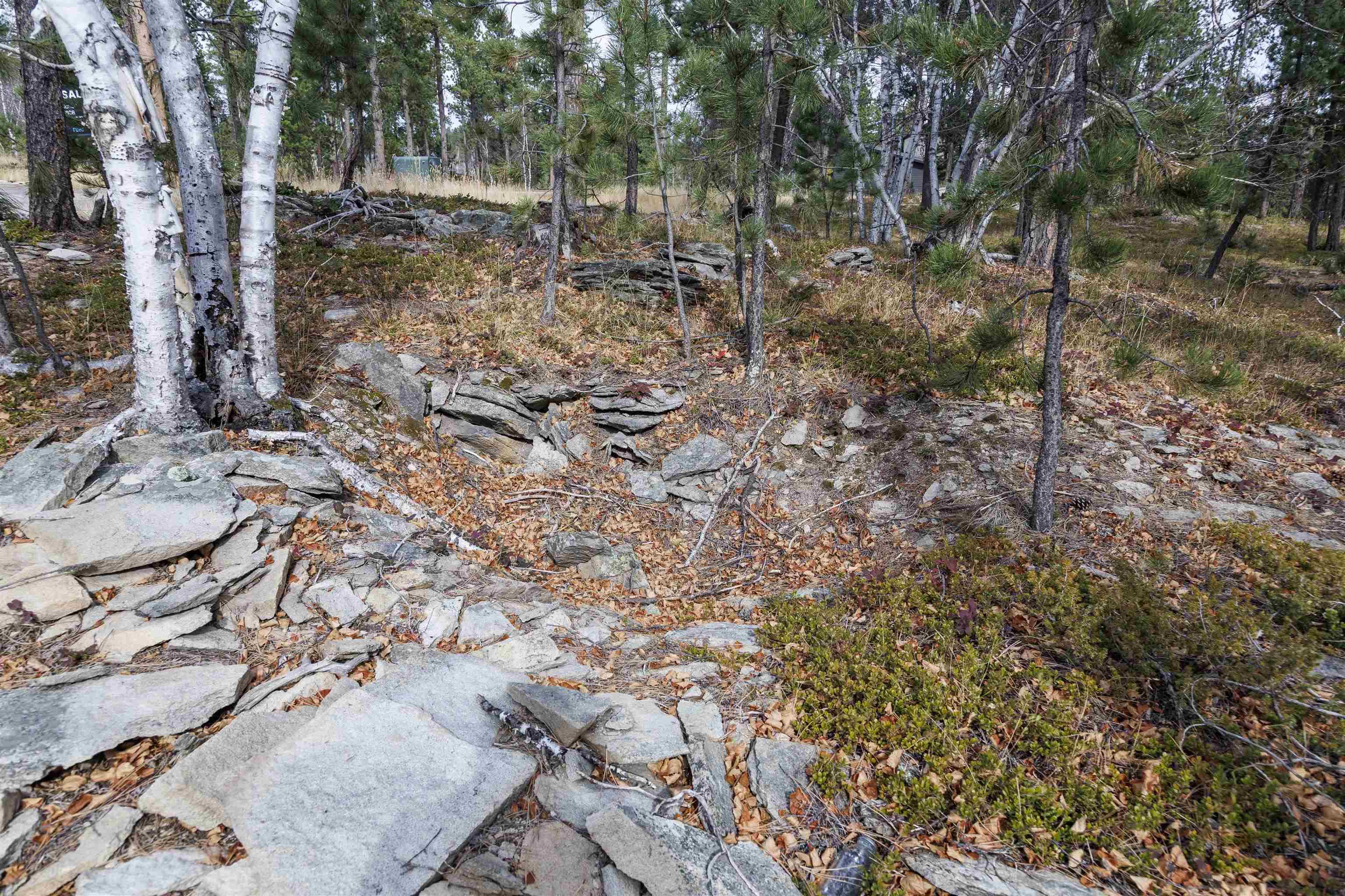 Property Photo:  Lot 4 Blk 8 Autumn Lane  SD 57754 