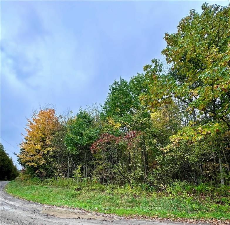 Property Photo:  Lot 1 Murphy Rd  ON K0K 3G0 