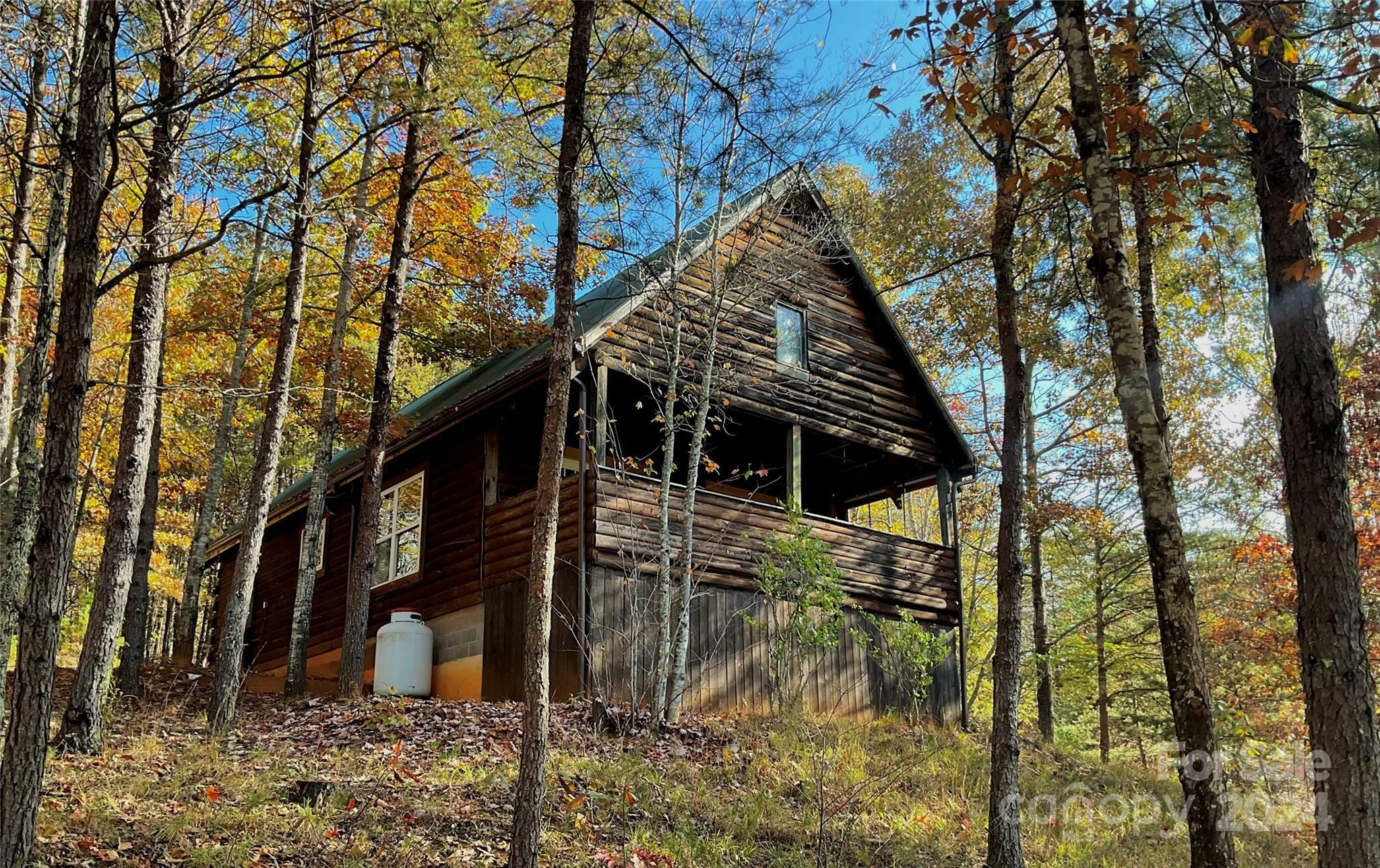 Property Photo:  1446 W McGuinn Road  NC 28756 