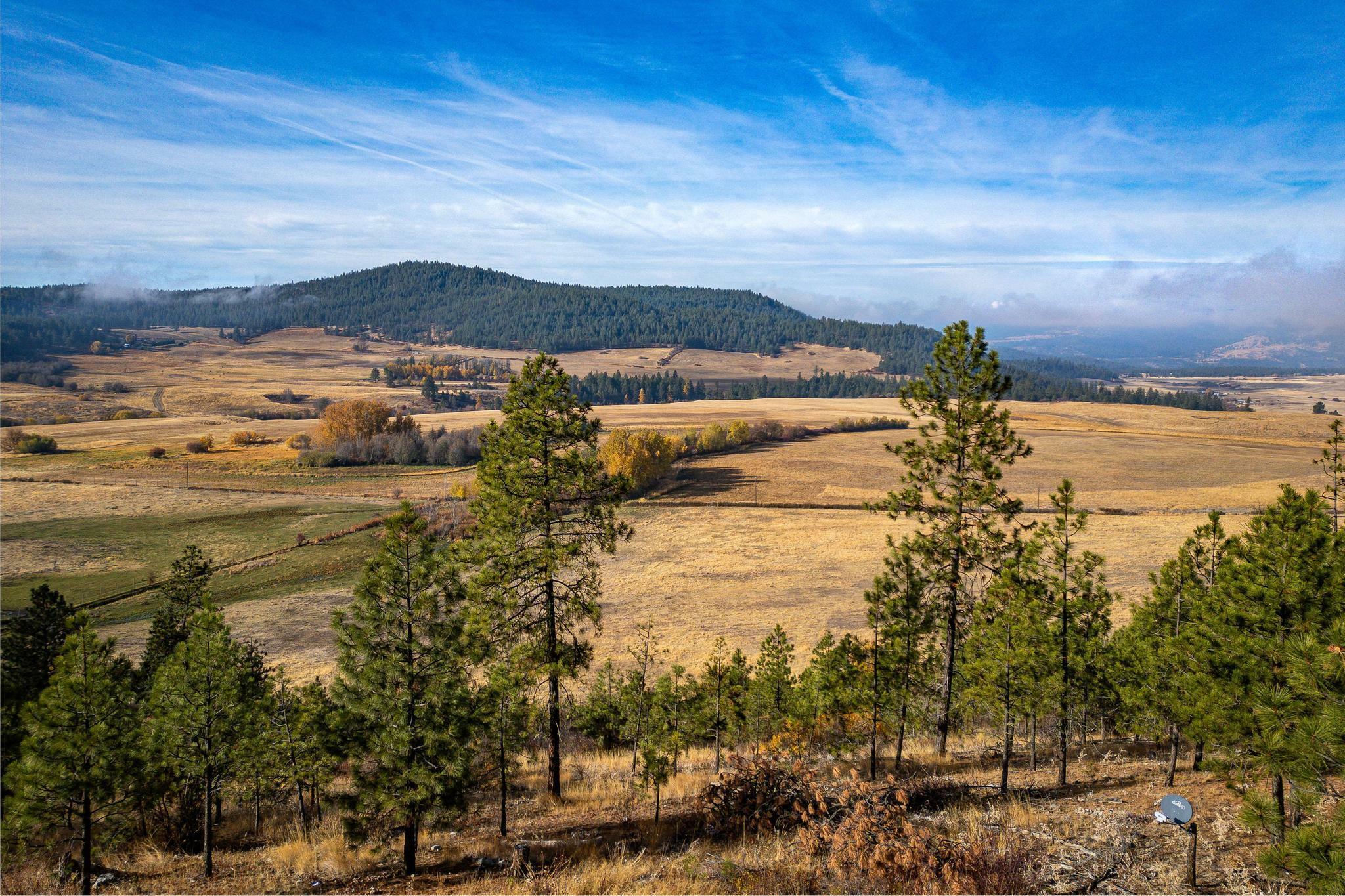 Property Photo:  5848 Fruitland Valley Rd  WA 99129 