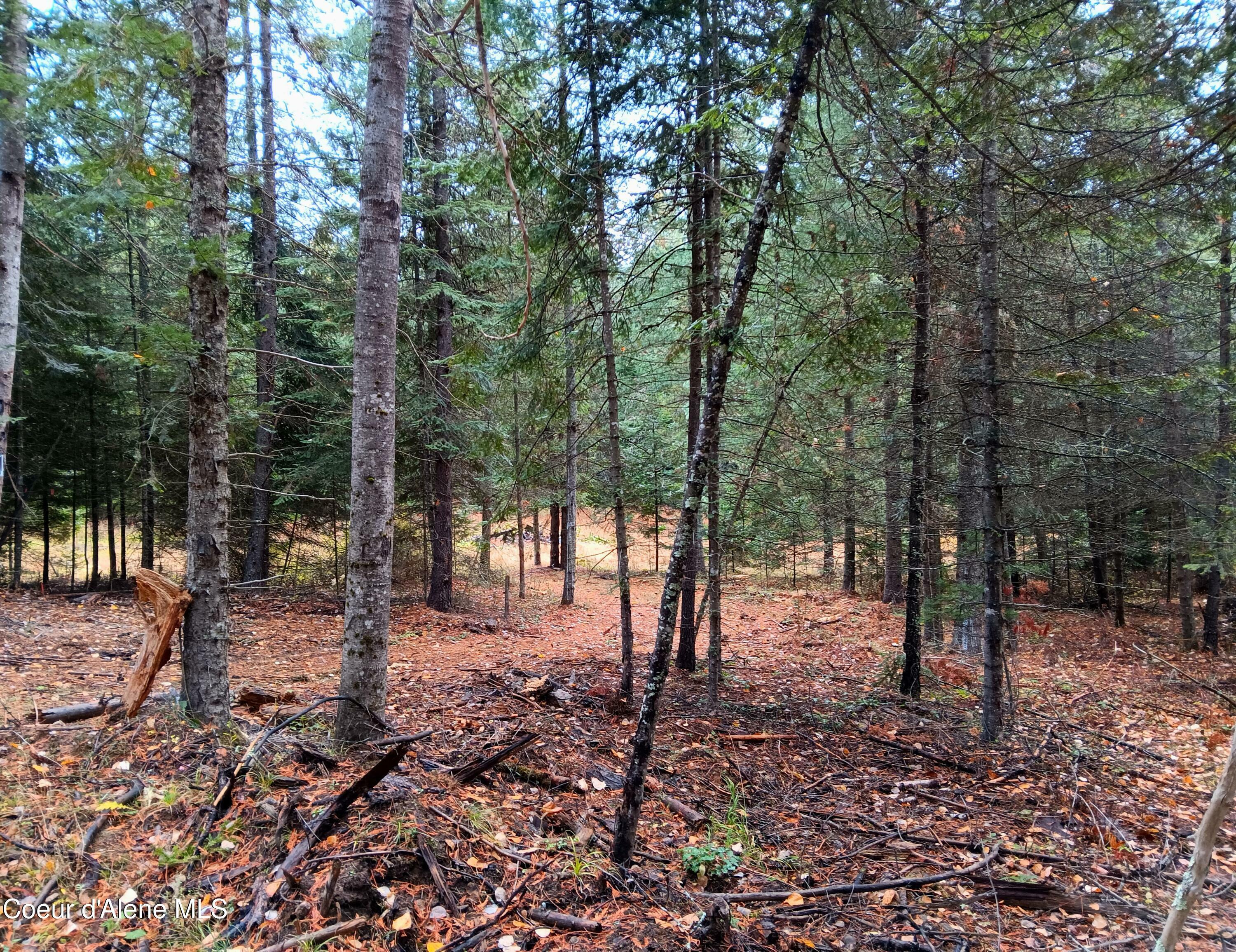 Property Photo:  Nna Green Bay Rd - Lot 2  ID 83860 