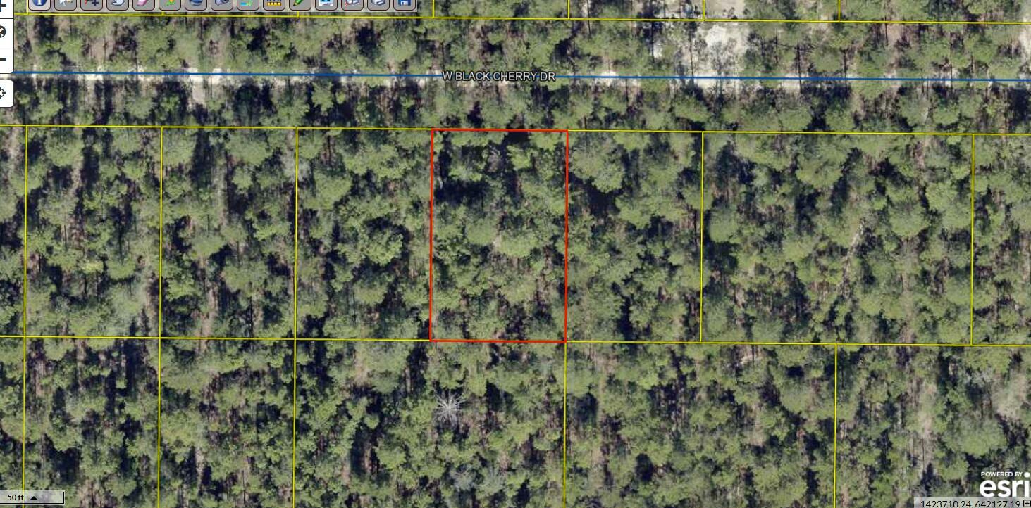 Property Photo:  Lot 20 Blk 33 W. Black Cherry Drive  FL 32433 