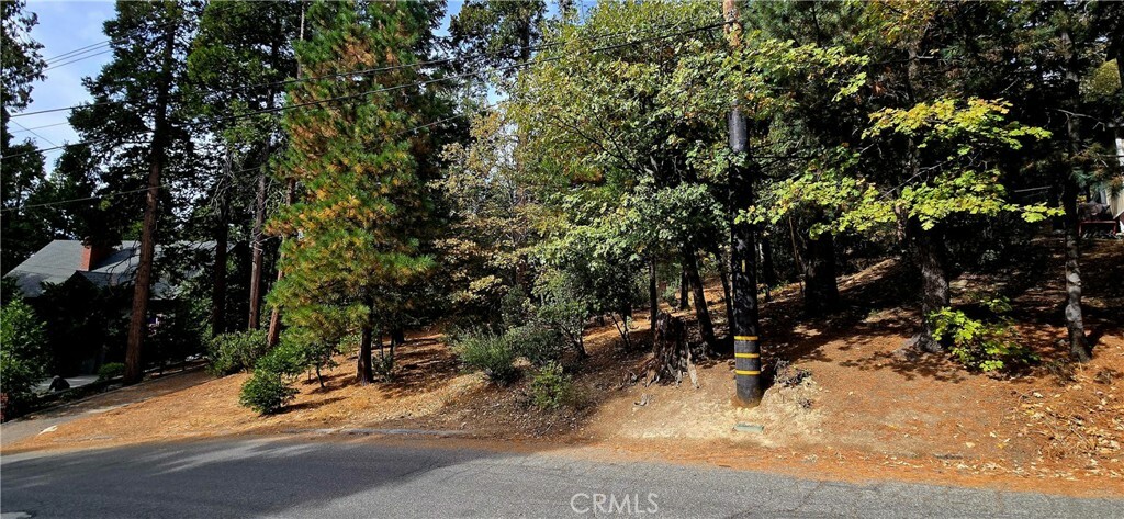 308 Pioneer Road  Lake Arrowhead CA 92317 photo