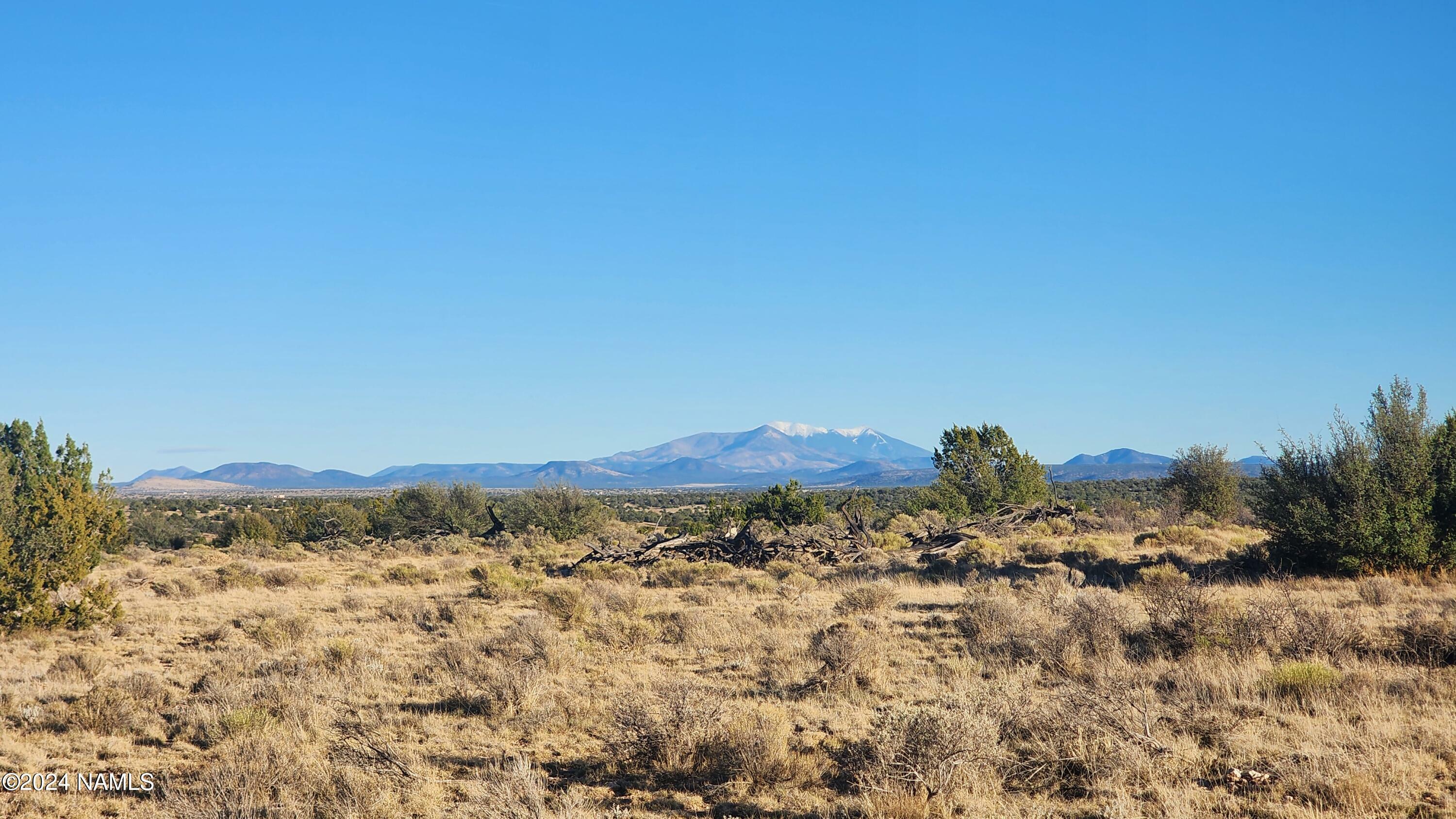 Property Photo:  10424 W Line Cook Trail  AZ 86046 