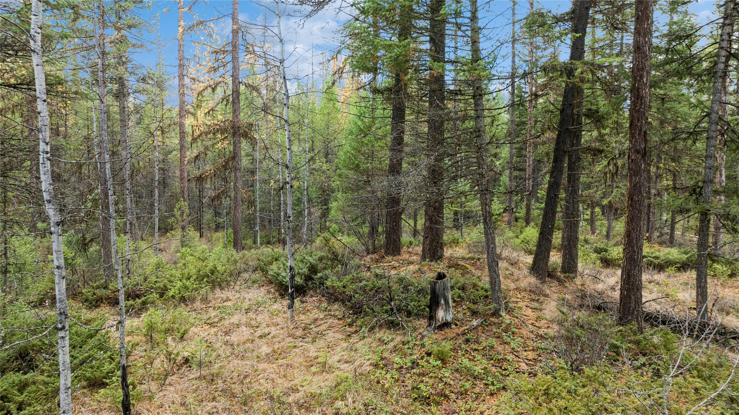 Property Photo:  Nhn Bootjack Lake Road  MT 59937 