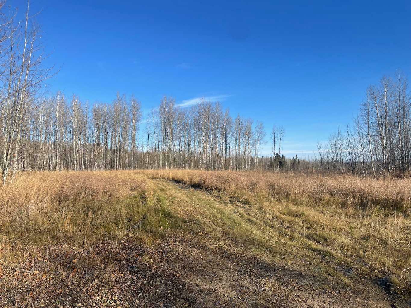 Property Photo:  Township Road 584 Township  AB T7S 1A1 