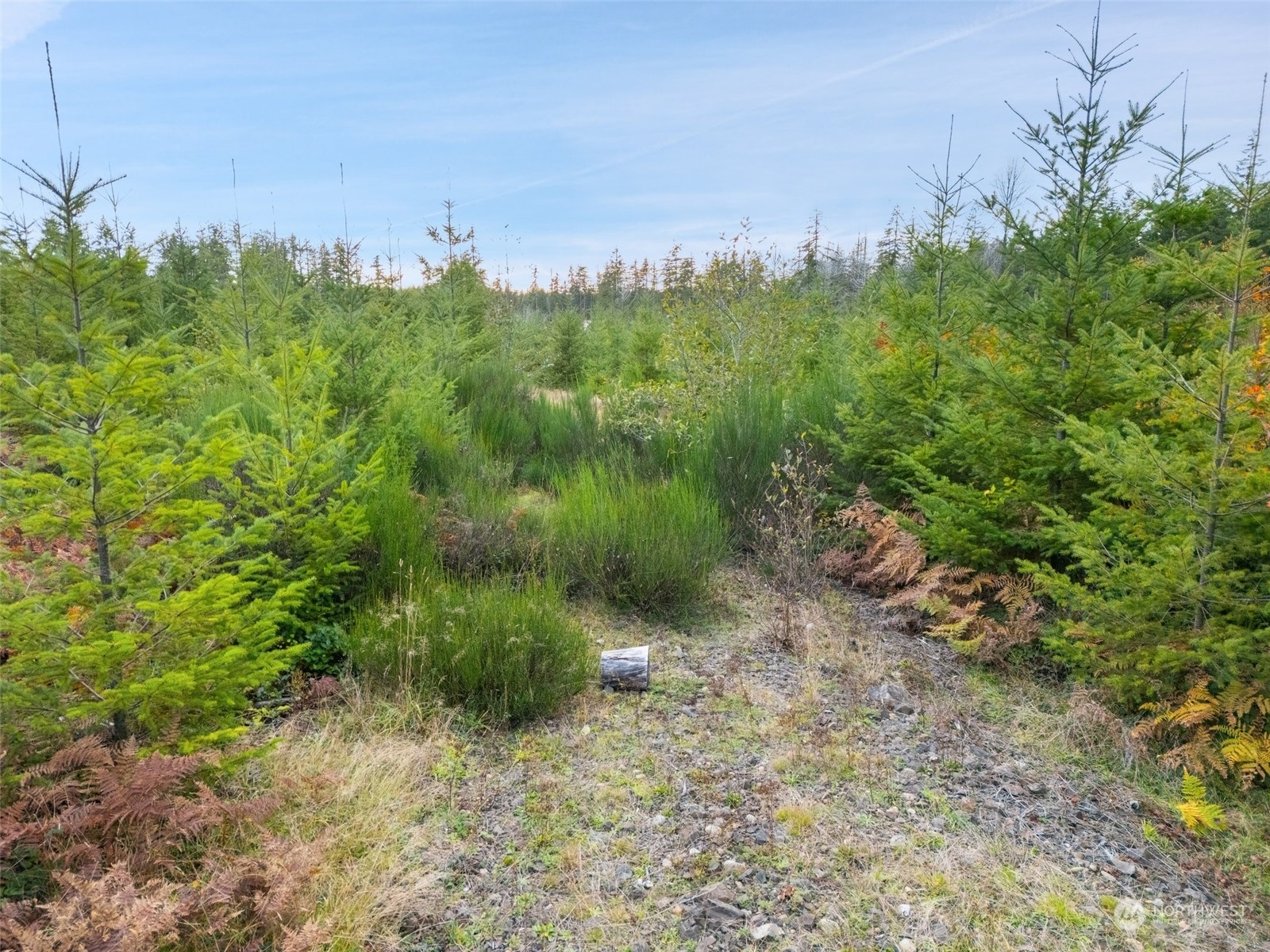 Property Photo:  0 Tr3 W Boyer Road  WA 98584 