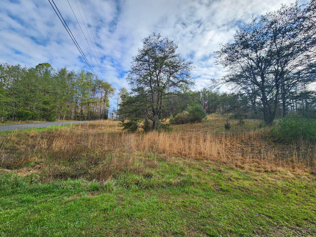 Property Photo:  Lot 11 Lum Way  TN 37876 