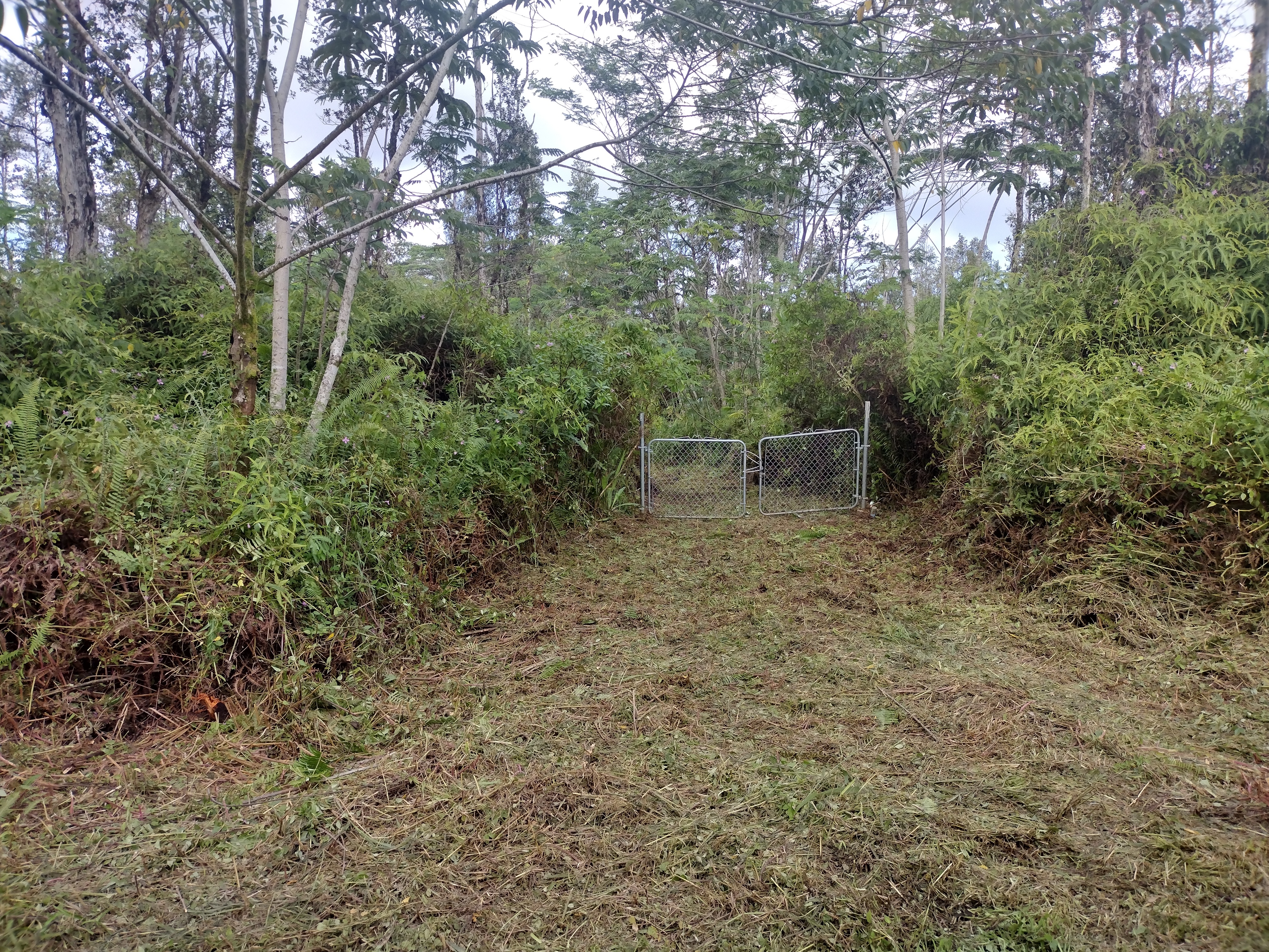 Property Photo:  Lanai Rd  HI 96778 