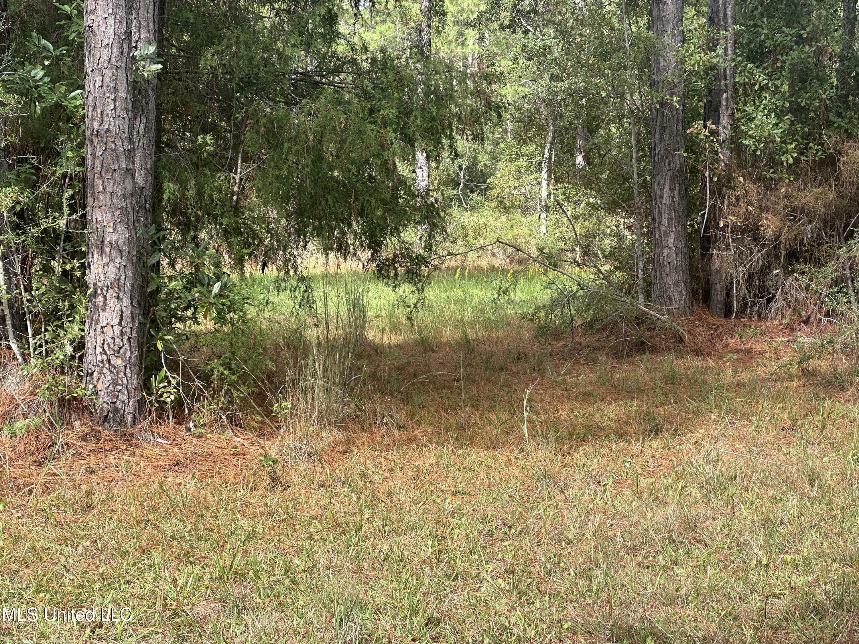 Property Photo:  Michael Drive  MS 39562 