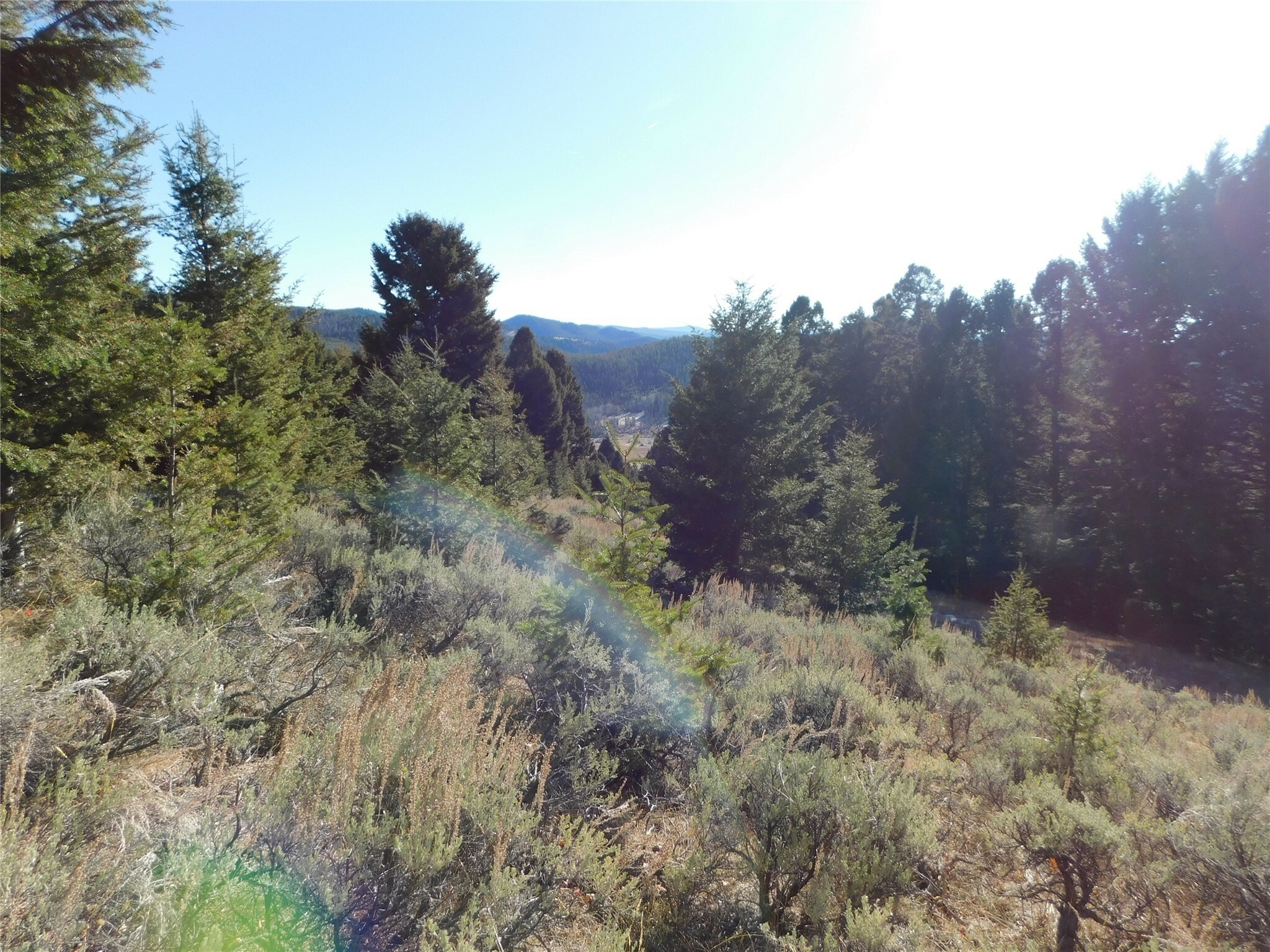 Nhn Flume Gulch Road  Butte MT 59701 photo