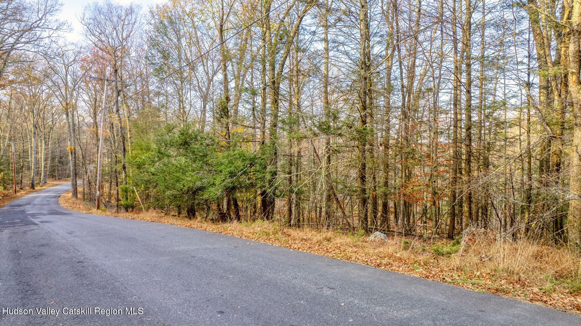 Property Photo:  Tbd Cherry Hill Lot #2  NY 12484 