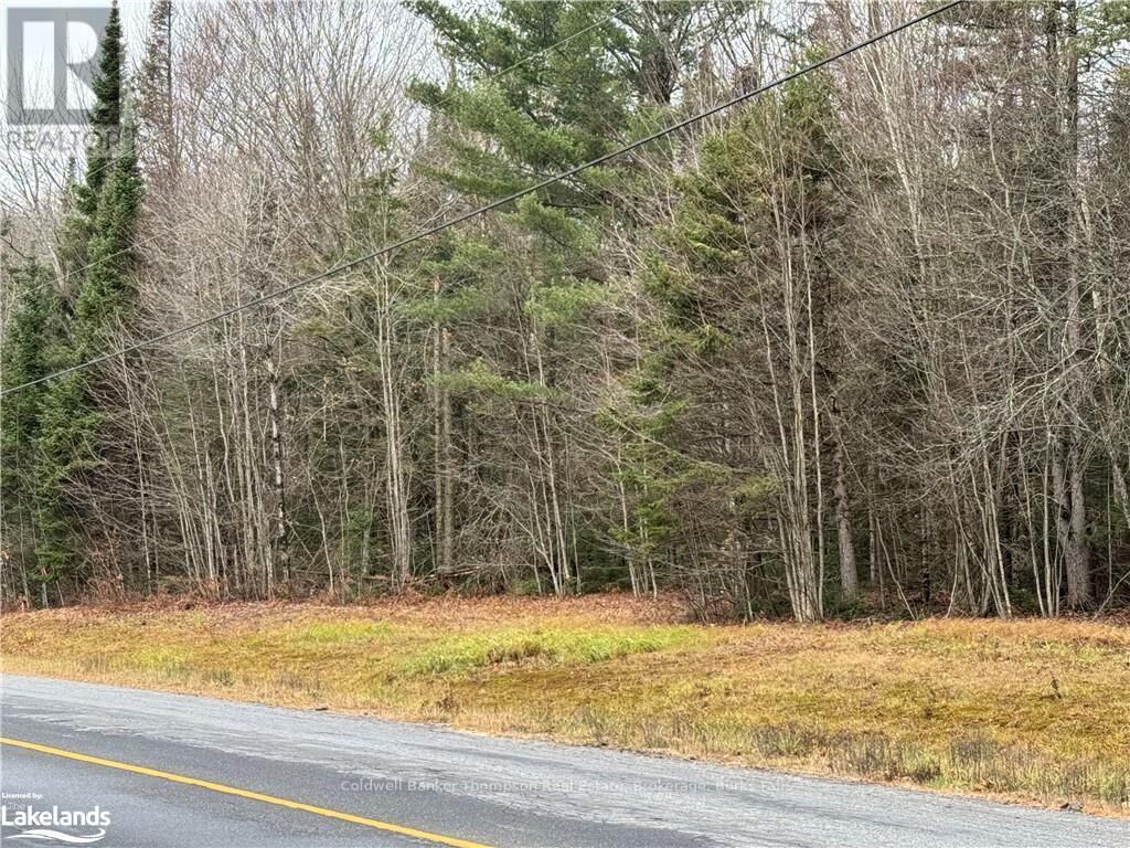 Photo de la propriété:  Highway 518 W  ON P0A 1Y0 