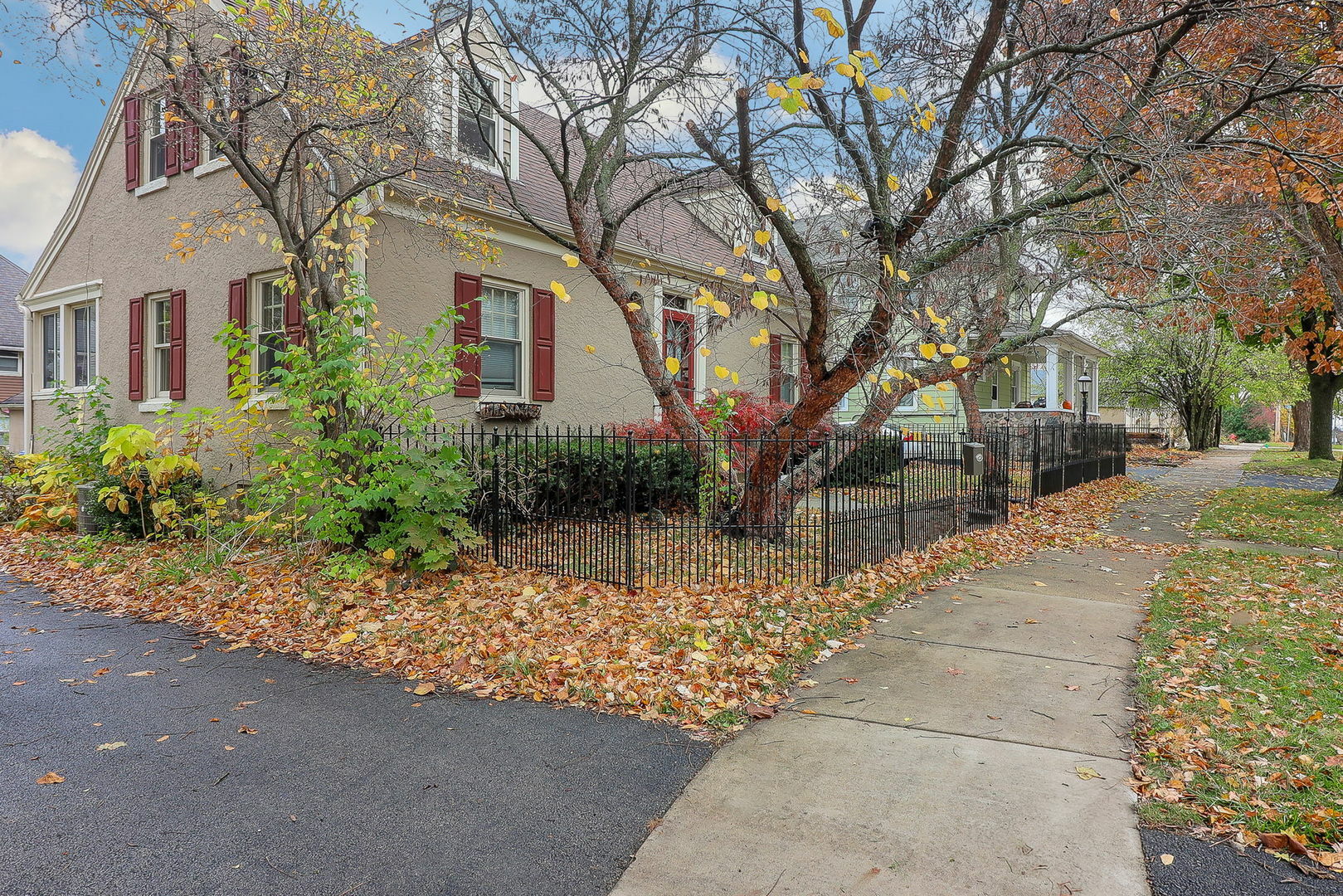 Property Photo:  218 N 4th Avenue  IL 60174 