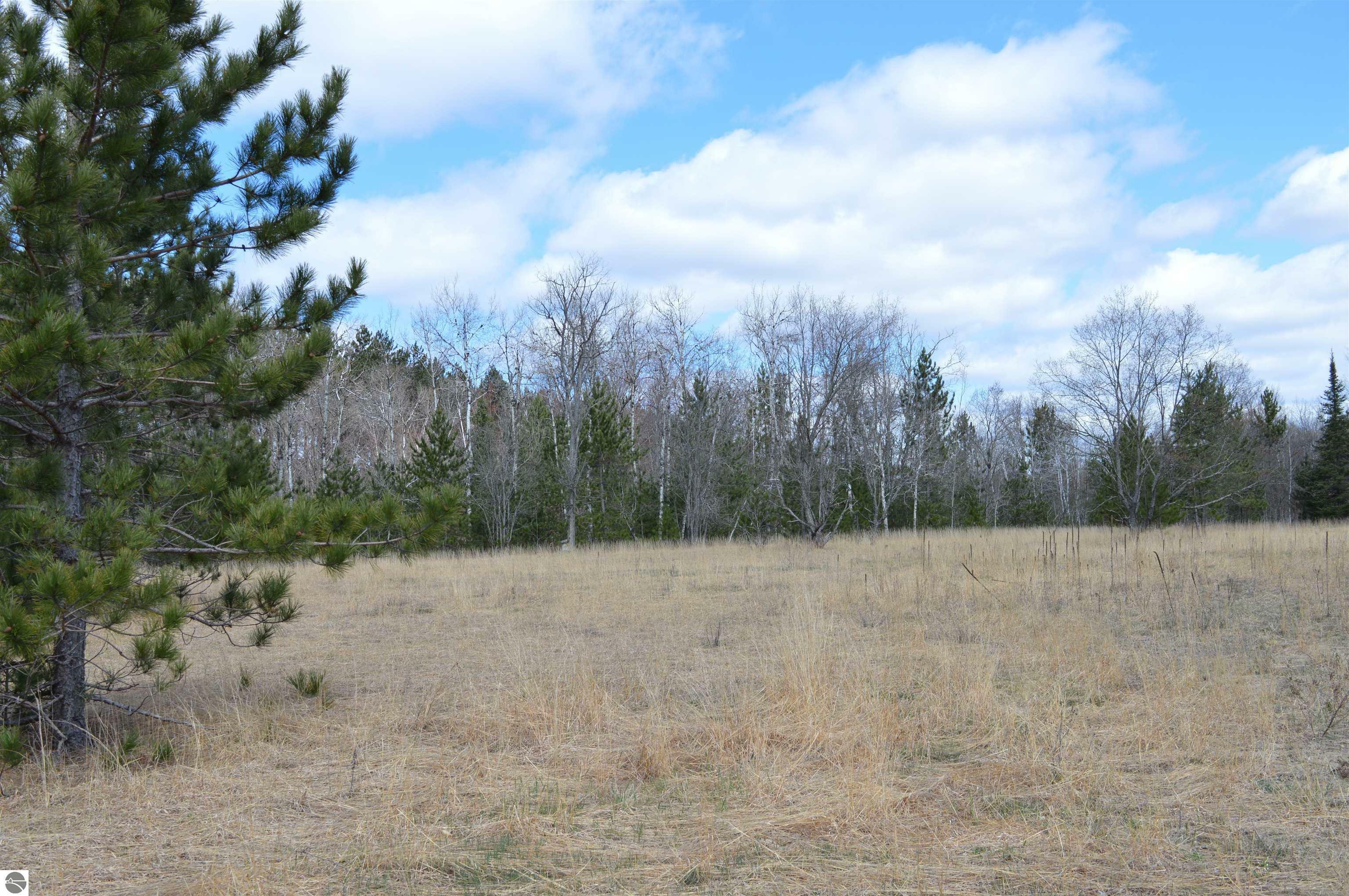 Property Photo:  Off Wood Road, NE  MI 49646 