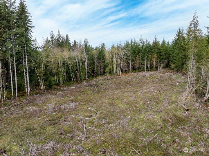 Property Photo: 0 E Cottonwood Drive 31 WA 98584