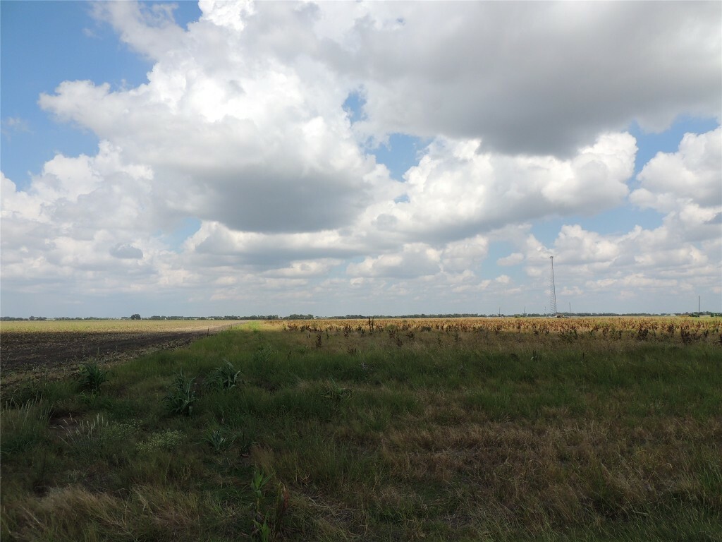 Property Photo:  3402 County Road 405  TX 76574 