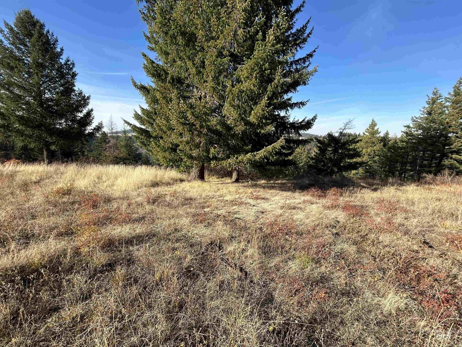 Property Photo:  30478 W Juniper Cir  ID 83876 