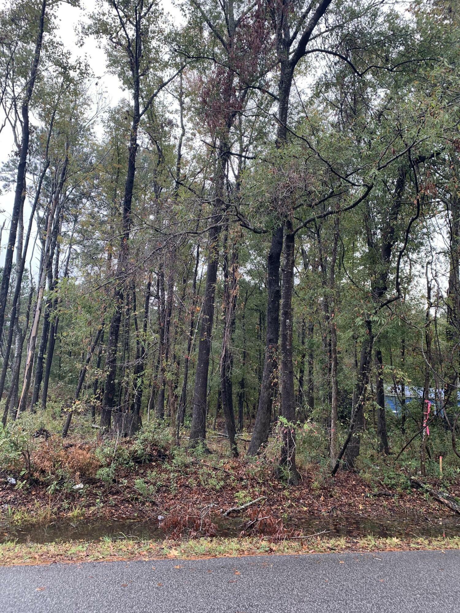 Property Photo:  0 Tuskegee Drive Lot 68  SC 29418 