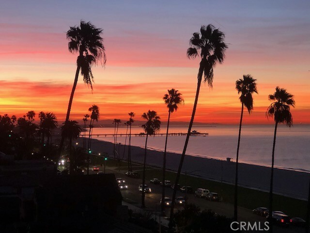 Property Photo:  2601 E Ocean Boulevard 308  CA 90803 