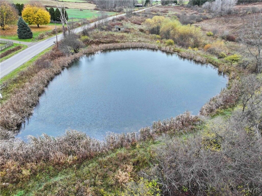 Property Photo:  Dry Brook Road  NY 14733 