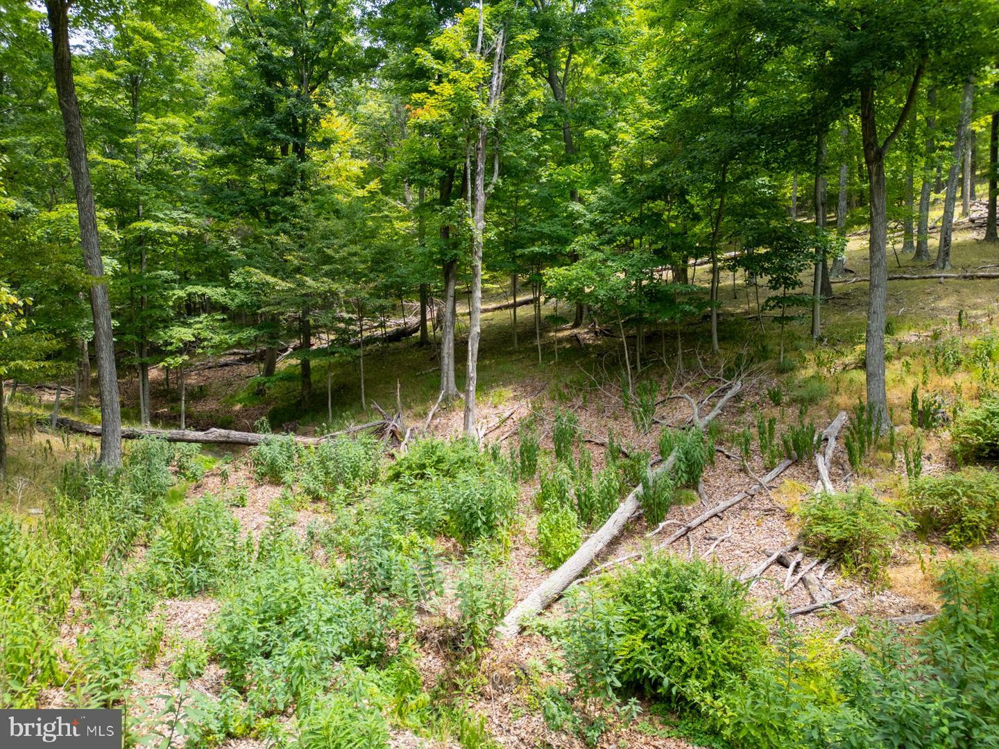 Property Photo:  Lot 55 &Amp 56 Sarah Lincoln Dr.  WV 26743 