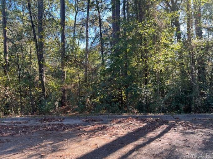 Property Photo: Lot 15 Mockingbird Lane AR 71701