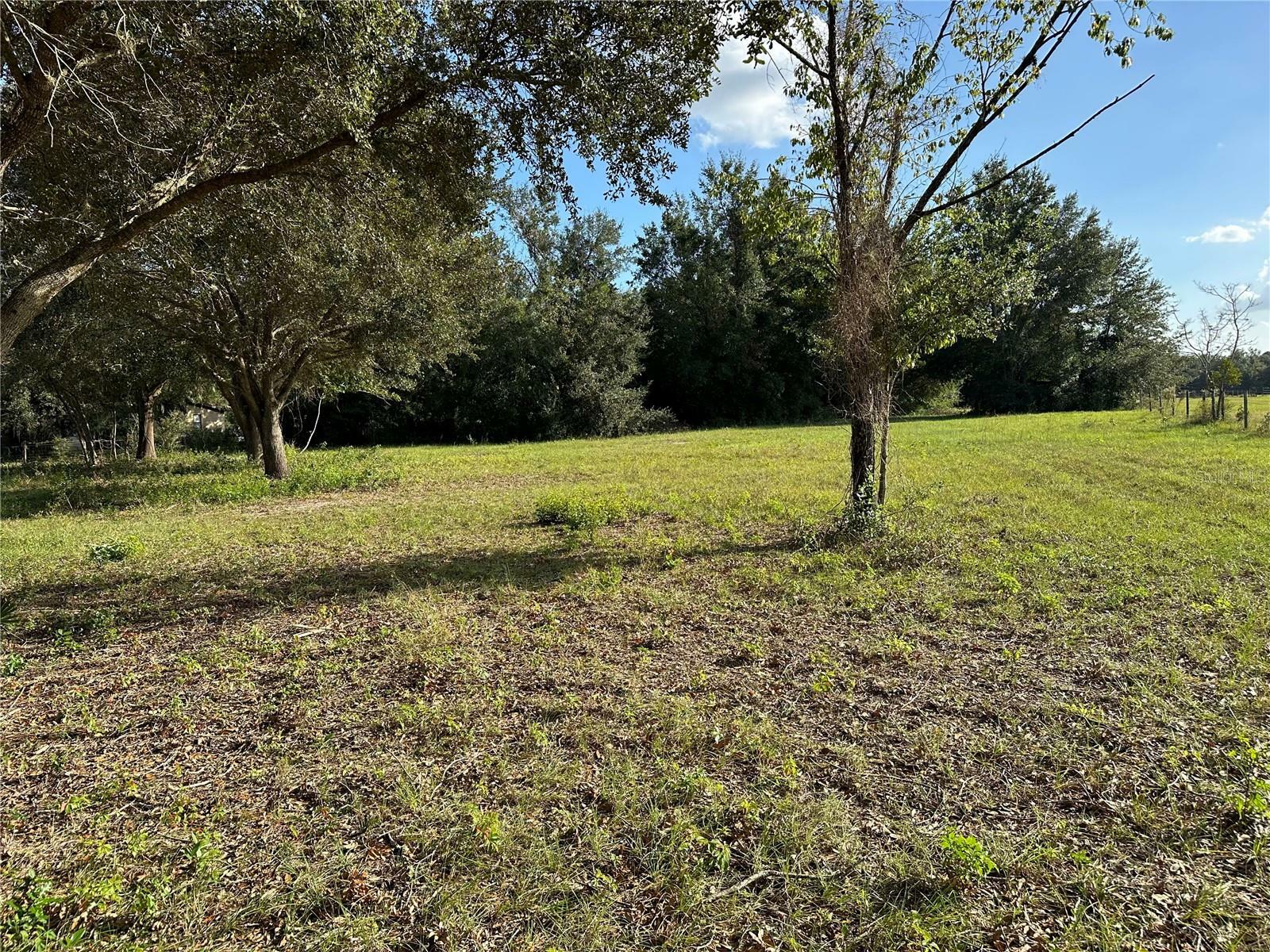 Property Photo:  Griffin Avenue  FL 32159 