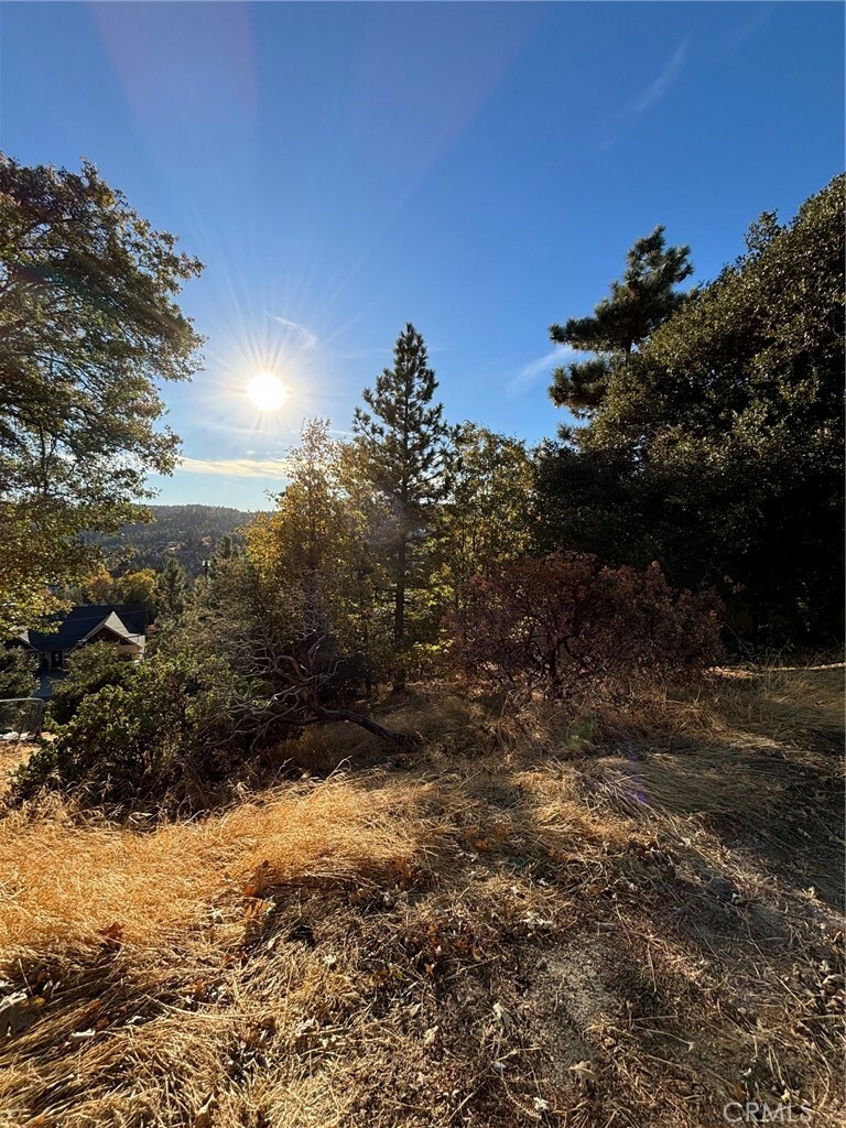 Property Photo: 0 Grass Valley Road CA 92352