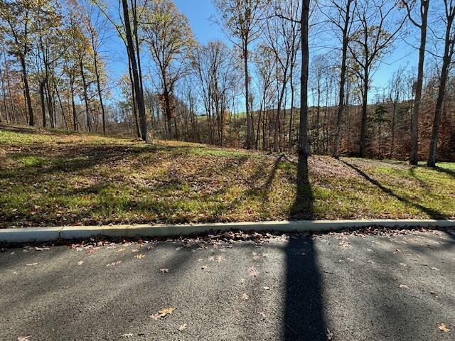 Property Photo:  285 Woods Creek Lake Drive  KY 42503 