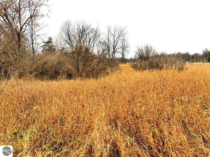 Property Photo: Unit 5 North Street MI 49683