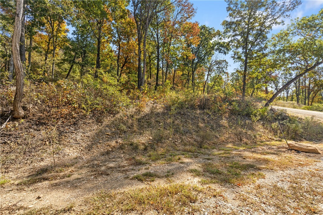 Property Photo:  Lot 48 Restore Ridge  AR 72601 