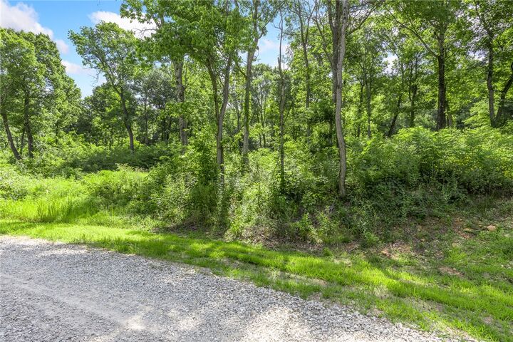Property Photo: Lot 48 Restore Ridge AR 72601