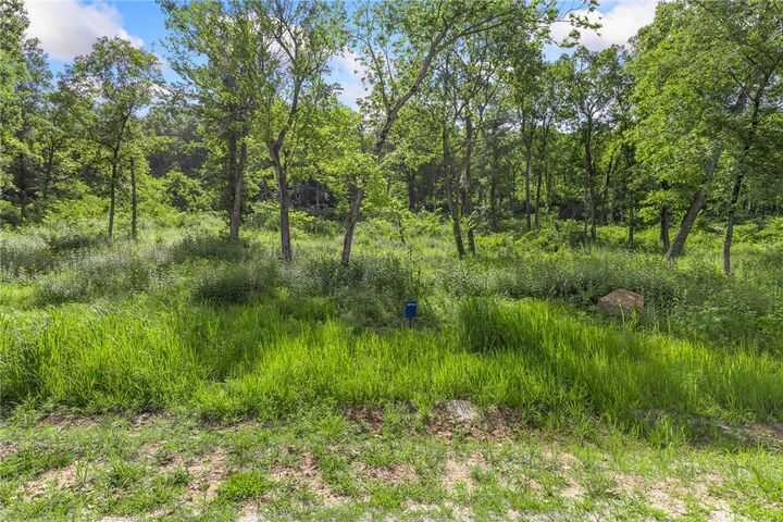 Property Photo:  Lot 52 Restore Ridge  AR 72601 