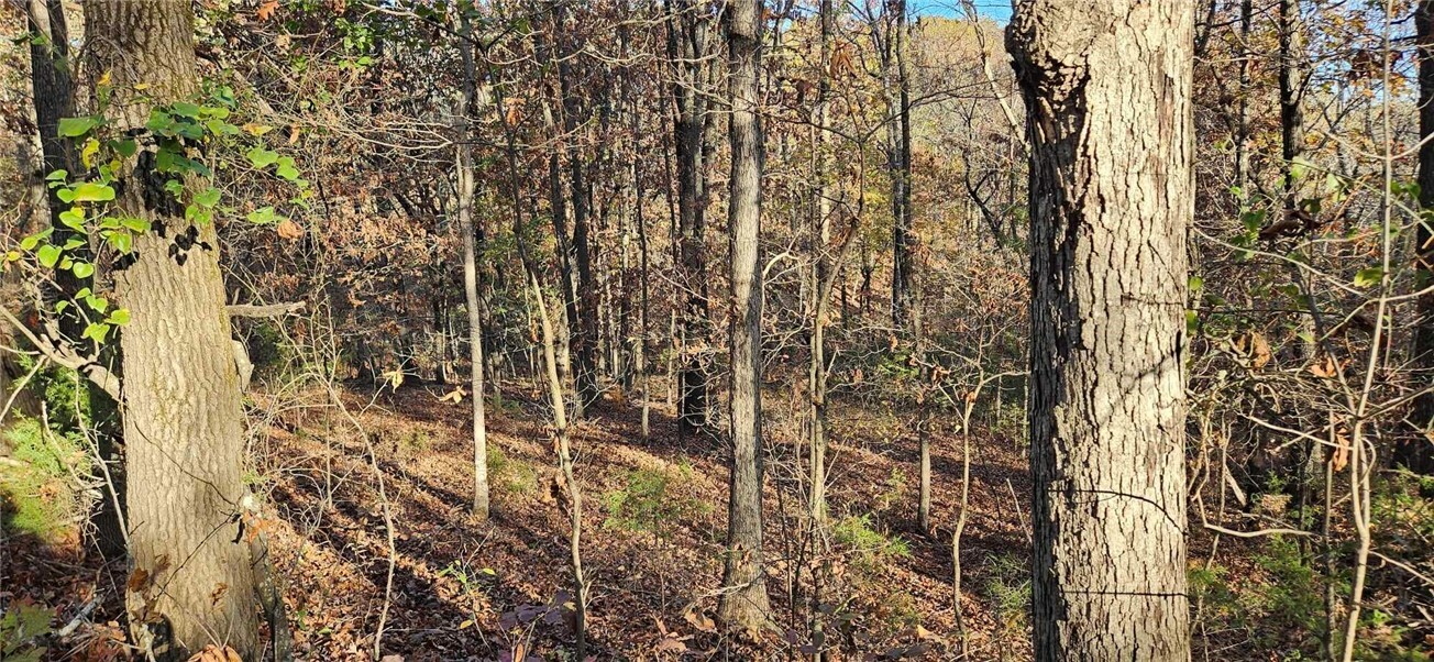 Property Photo:  Tbd Wooten Rd Road  AR 72774 