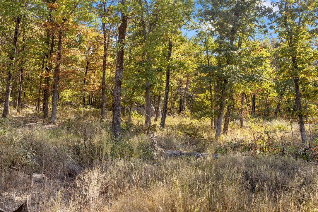 Property Photo:  Lot 44 Restore Ridge  AR 72601 