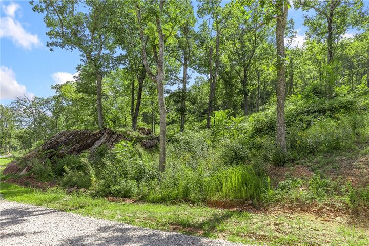 Property Photo: Lot 53 Restore Ridge AR 72601
