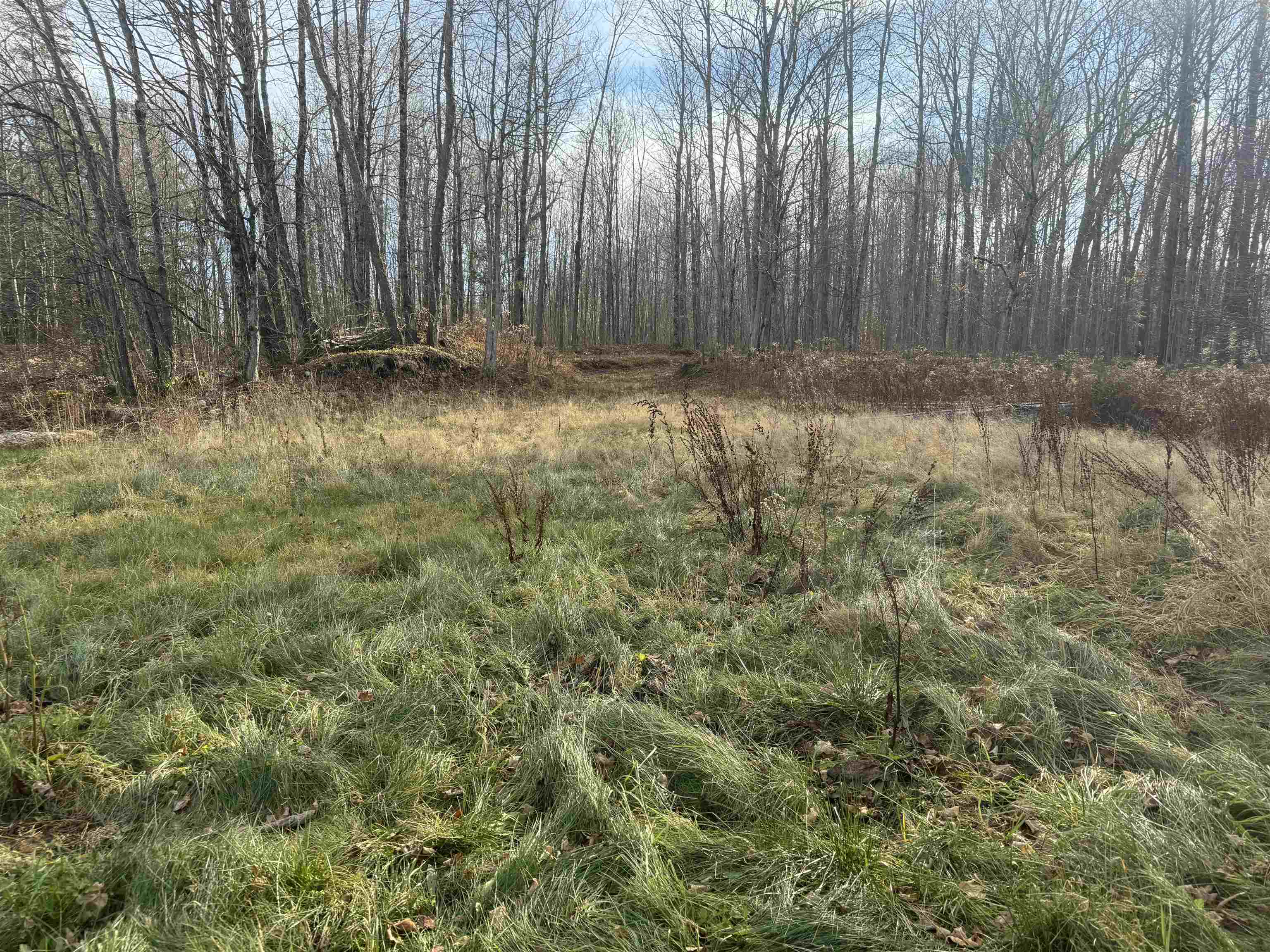 Property Photo:  4344 State Route 3  NY 13690 
