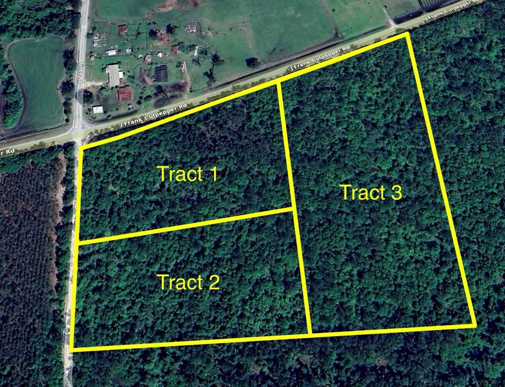 Property Photo:  Tract 1 J Frank Culpepper Rd  GA 31636 