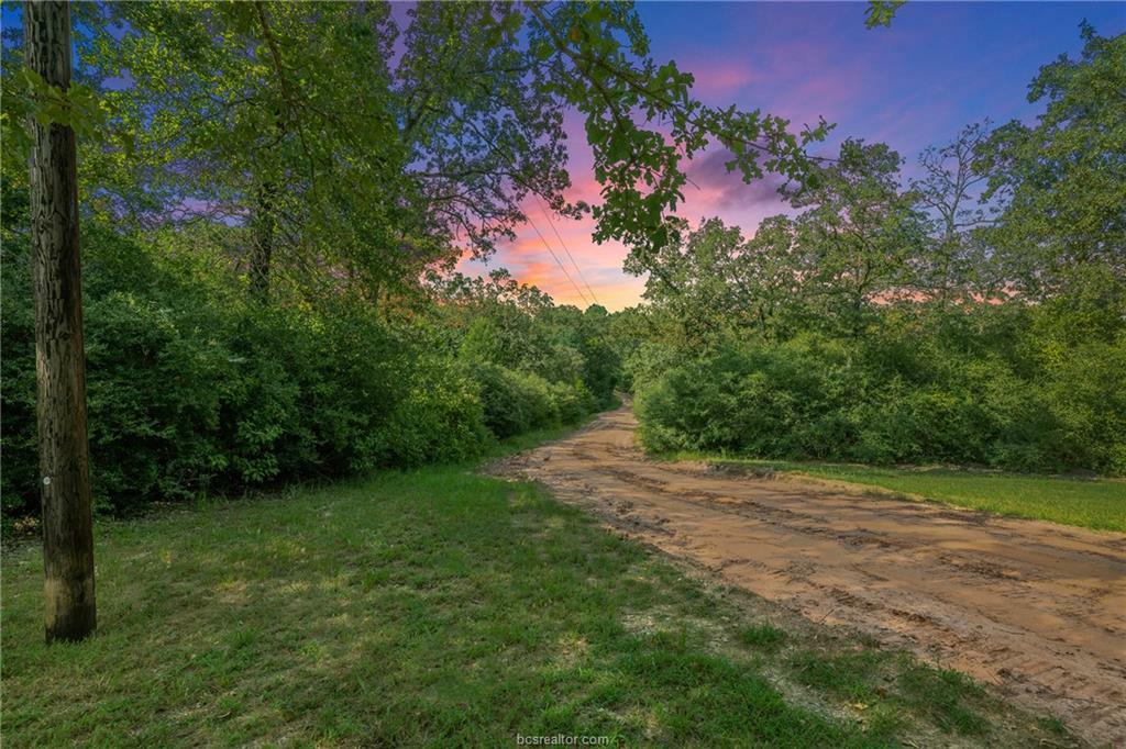 Property Photo:  13082 Private Road Street 4485  TX 77871 