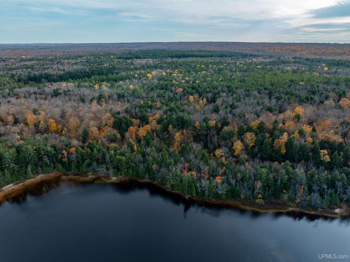 Property Photo:  Parcel G Deer Lake Road  MI 49806 