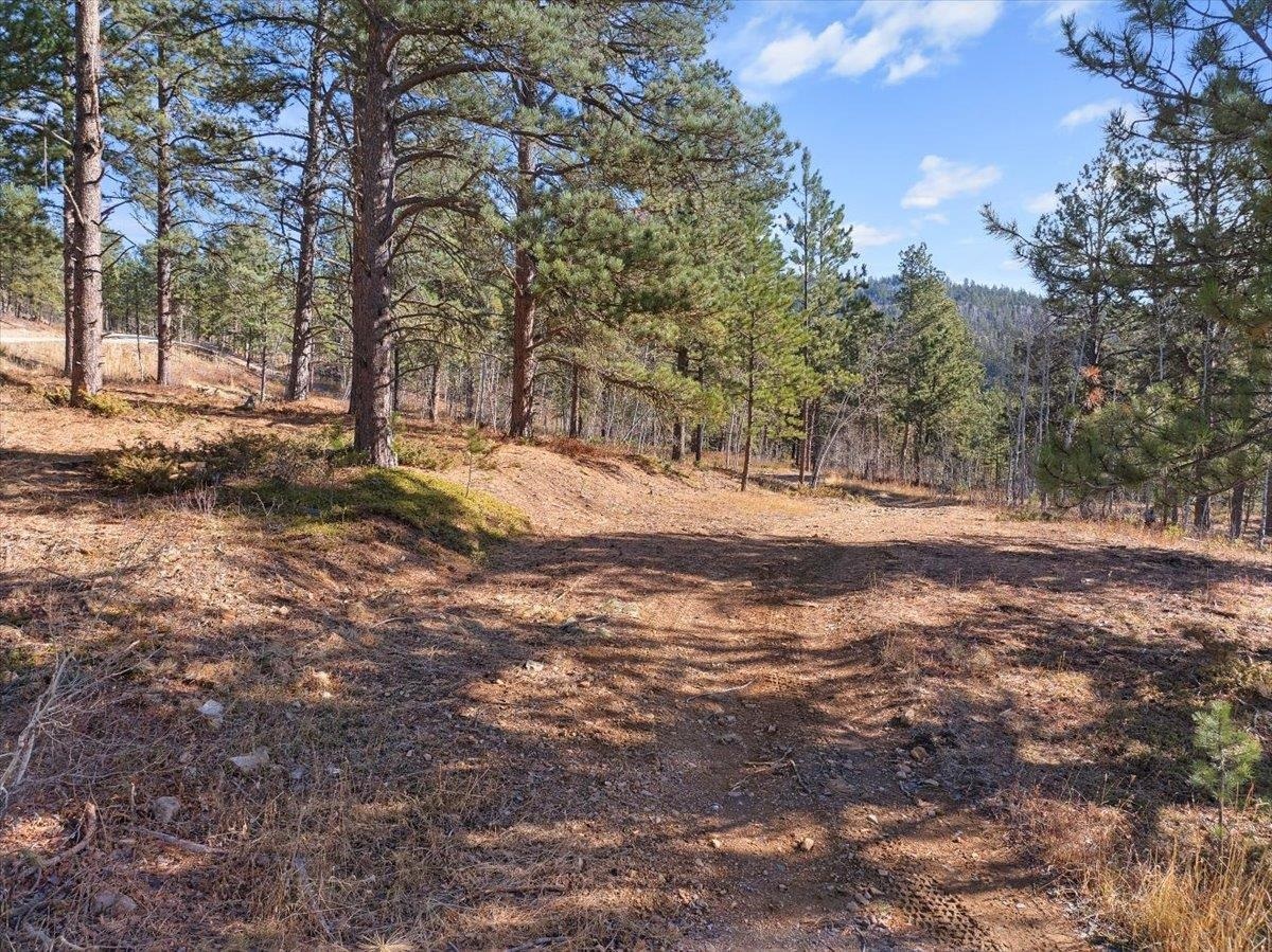 Lot 1 Last Chance Trail  Lead SD 57754 photo