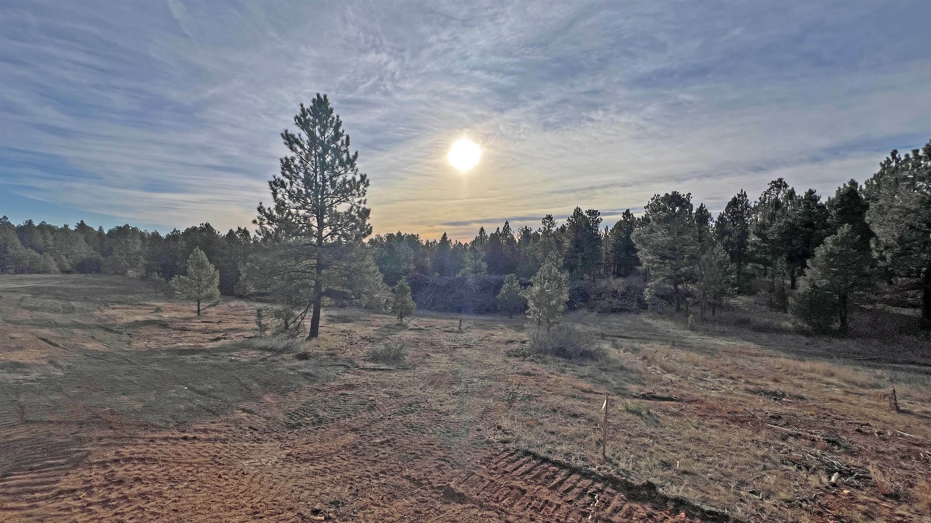 Property Photo:  Lot 3 Westwind Drive  SD 57747 