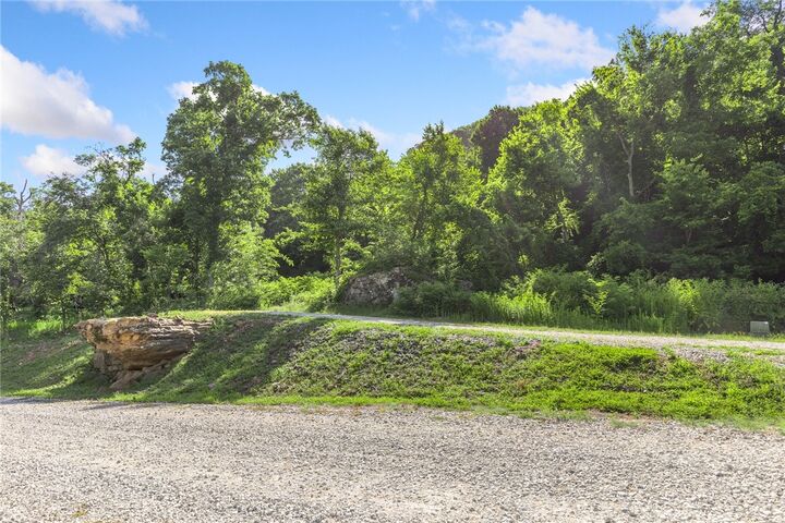 Property Photo: Lot 109 Peaceful Place AR 72601